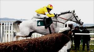 Neptune Collonges